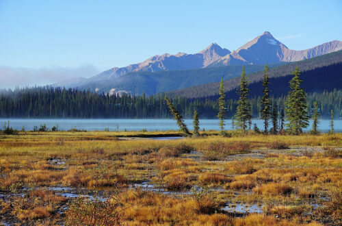 Emerald Lake