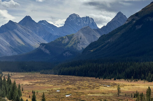 Peter Lougheed Provincial Park