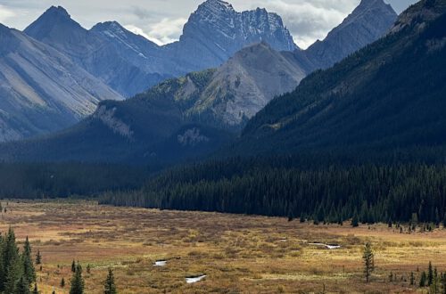 Peter Lougheed Provincial Park